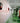Analyse sur site – Chargeurs multiples